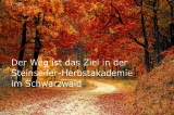 Die Steinseifer-Herbstakademie im Schwarzwald